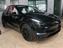 تسلا موديل Y